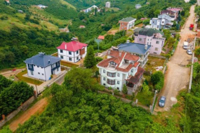 Sofrakaya villa